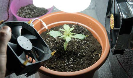 Growbox Rechnungskauf