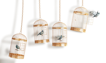 Käfig Rechnungskauf