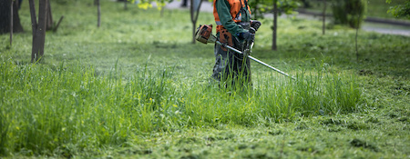 Rasentrimmer Rechnungskauf