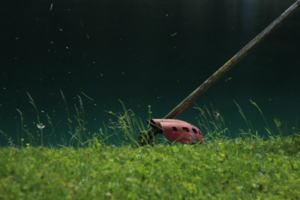 Motorsense auf Rechnung kaufen