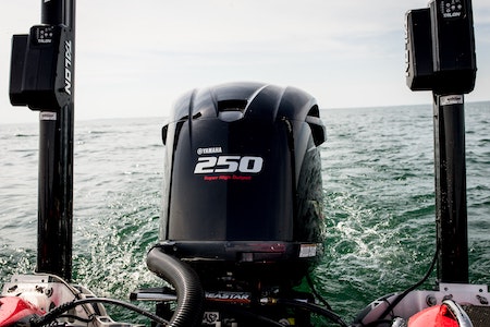 Dampfreiniger auf Rechnung