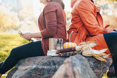 CBD Blueten auf Rechnung