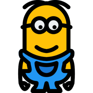 minions auf rechnung kaufen