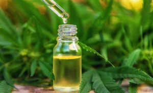 hhc auf rechnung kaufen